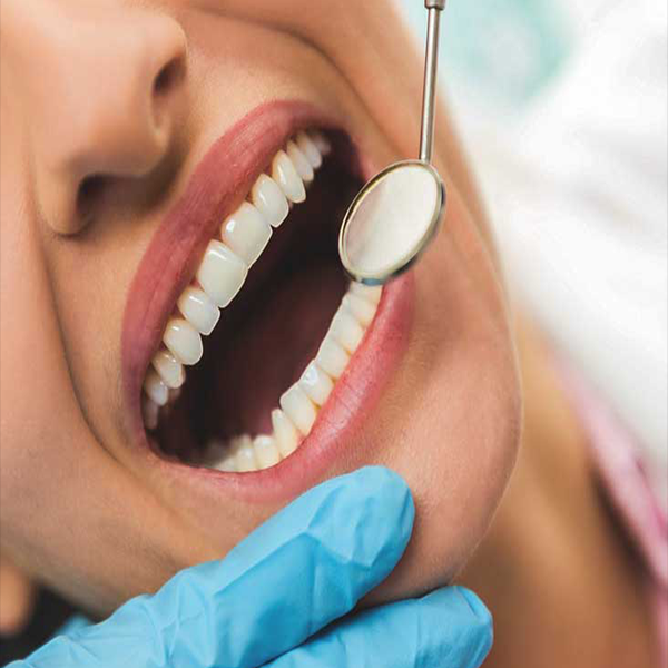 Mouth & Teeth